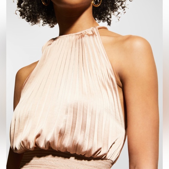 A.L.C Renzo II Sleeveless Pleated Midi Dress - Picture 4 of 8